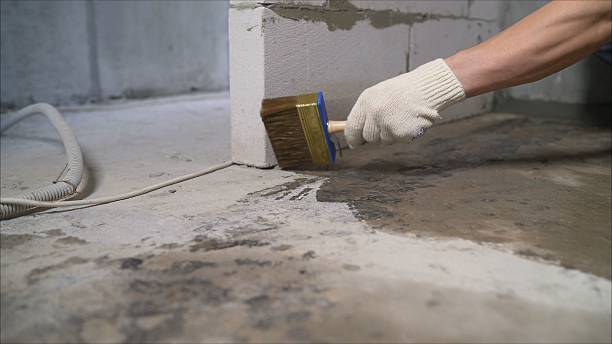SJ Waterproofing Pros Waterproofing coverage map for Salem, AL and surrounding area